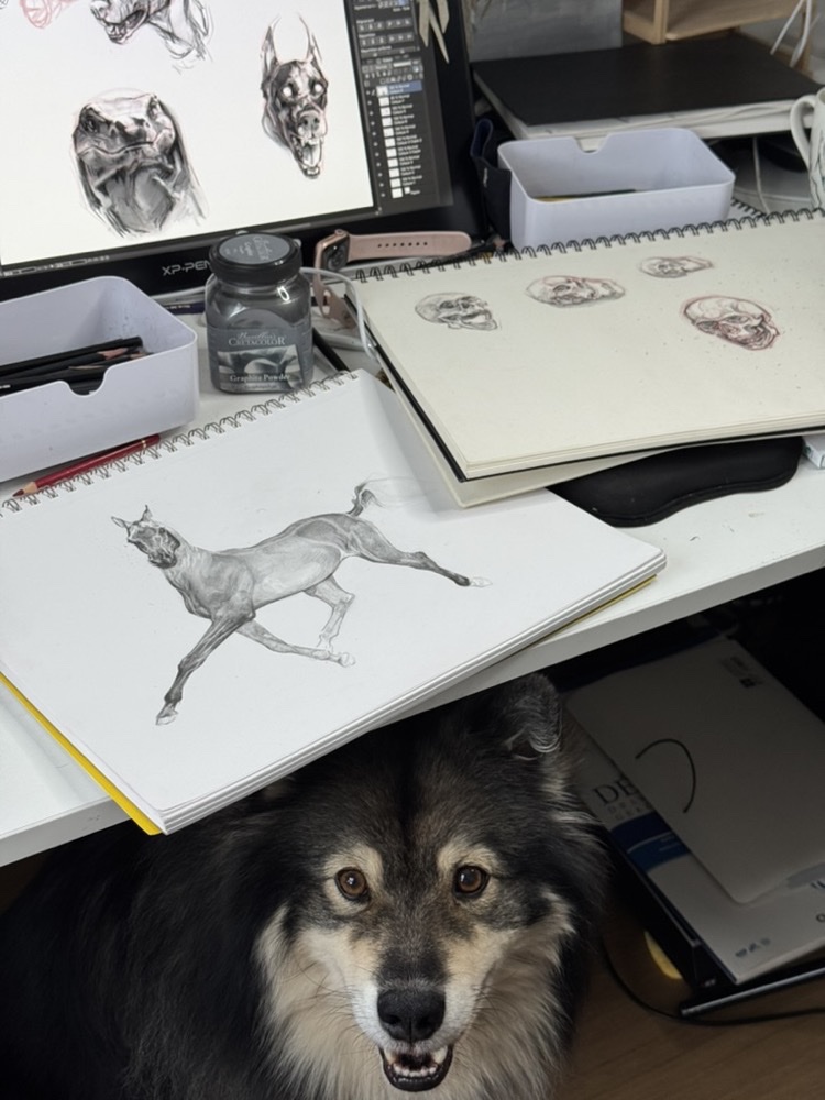 Table de travail : écran de dessin numérique, carnets d'études au graphite et Sunlight sous le bureau