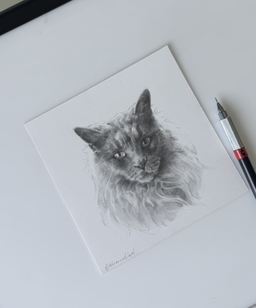 Portrait de chat au graphite terminé, posé près d'un porte-mine