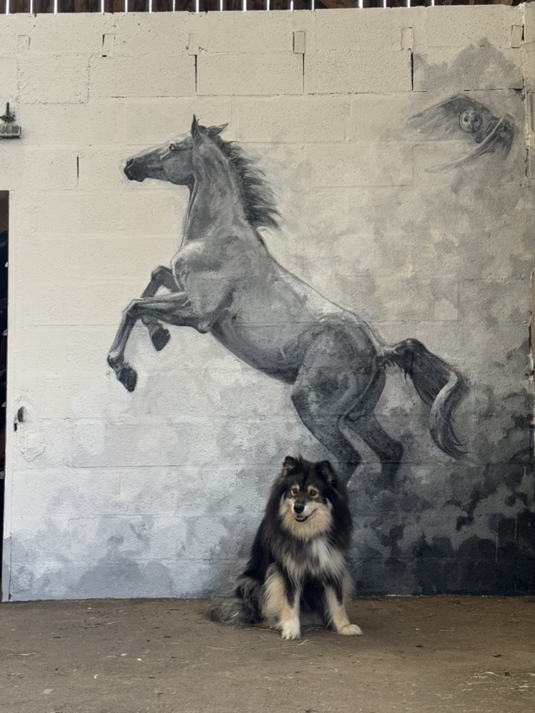 Fresque murale d'un cheval cabré peinte sur l'aire de pansage d'une écurie